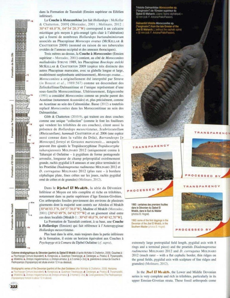 Fossils From Morocco Volume 1 Emblematic Localities From The