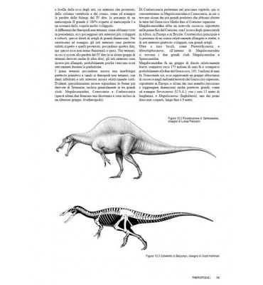 In dino veritas. Guida ad una visione consapevole dei dinosauri