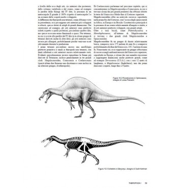 In dino veritas. Guida ad una visione consapevole dei dinosauri