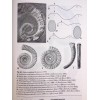 LIB029 - Fossilium...