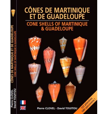 Cônes de Martinique et de Guadeloupe - Cone Shells of Martinique & Guadeloupe