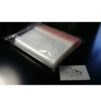 Polyethylene bag with clip 100x100 mm