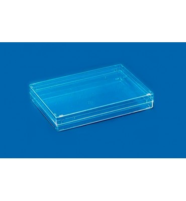 TR036 - Transparent box 202x142x32 mm