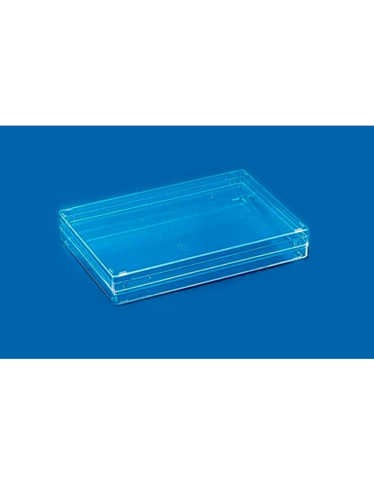 TR036 - Transparent box 202x142x32 mm