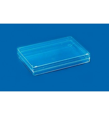 TR036 - Transparent box 202x142x32 mm