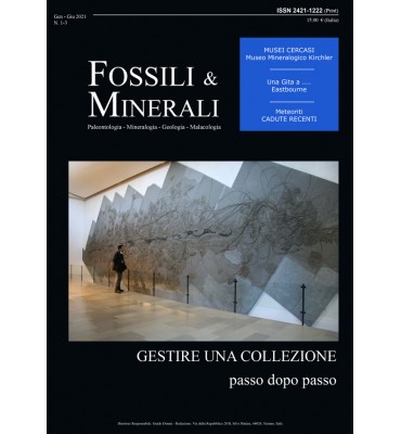 Rivista "Fossili e Minerali" n.1-3 del 2021
