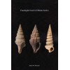 Conchiglie fossili di Monte Antico 