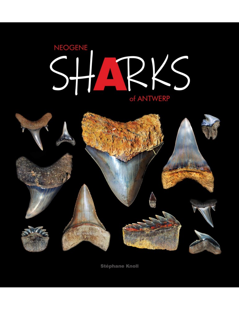 Neogene Sharks of Antwerp - by Stephane Knoll