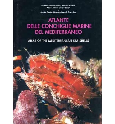 Atlante delle Conchiglie del Mediterraneo - Vol. 7