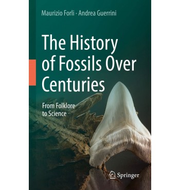 The History of Fossils Over Centuries, From Folklore to Science