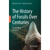 The History of Fossils Over Centuries, From Folklore to Science