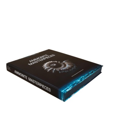 Ammonite Masterpieces book 2024 - English version