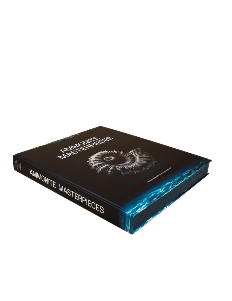 Ammonite Masterpieces book 2024 - English version