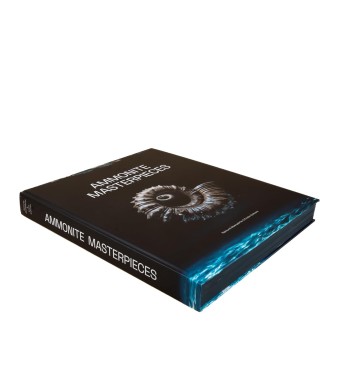 Ammonite Masterpieces book 2024 - English version