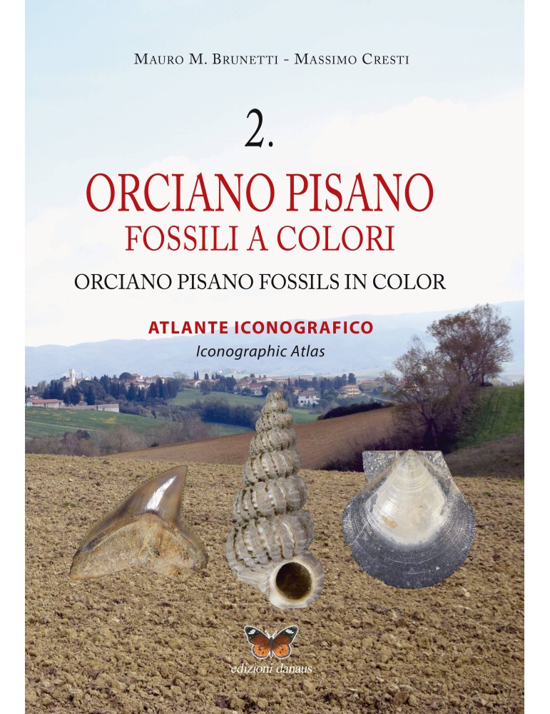Orciano Pisano Fossili a colori 2