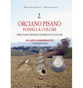 Orciano Pisano Fossili a colori 2