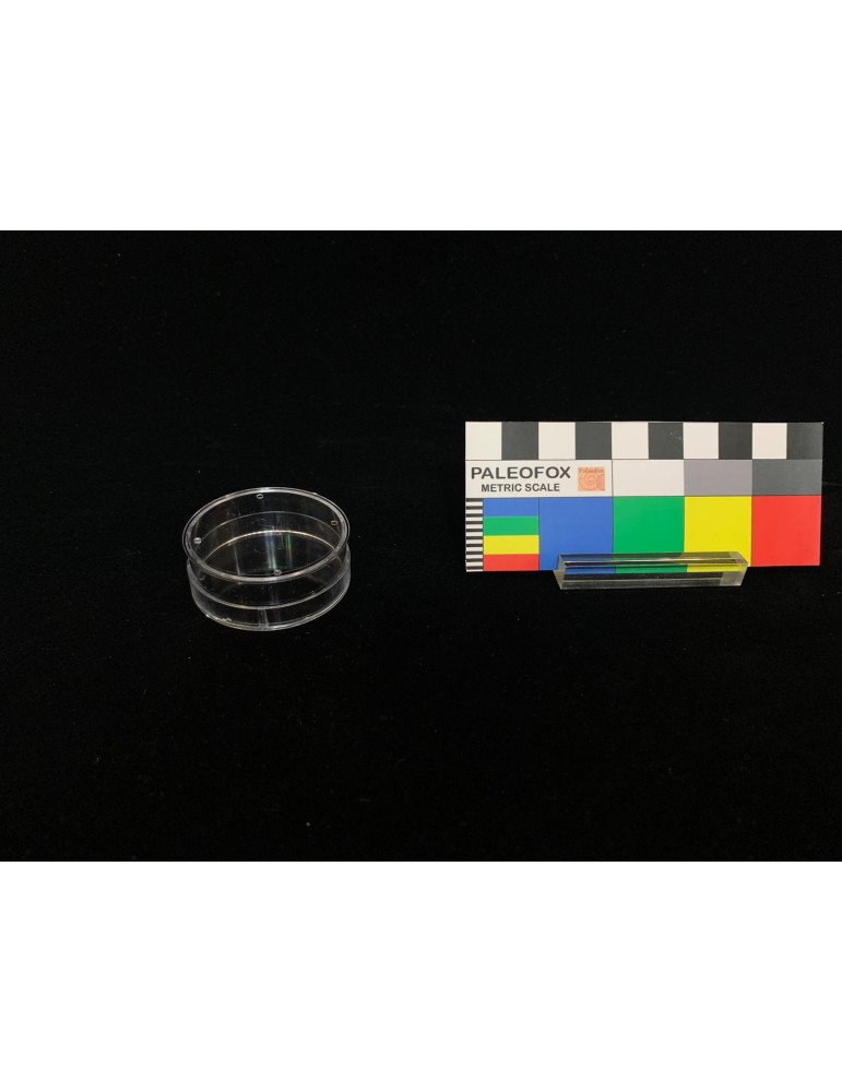 TC021 - Transparent box with circular base ø 40x15 mm
