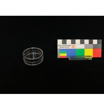 TC021 - Transparent box with circular base ø 40x15 mm