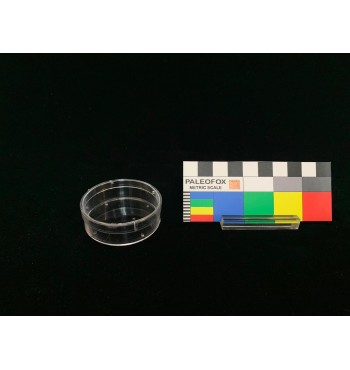 TC026 - Scatola trasparente a base circolare ø mm 50x17