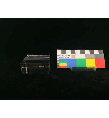 BA008 - Base acrilico trasparente quadrata 50x50x20 mm