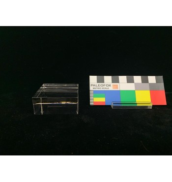 BA008 - Base acrilico trasparente quadrata 50x50x20 mm