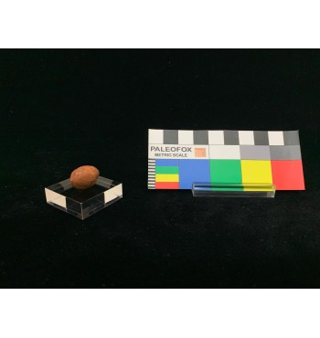 BA001 - Base acrilico trasparente quadrata 30x30x10 mm