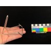 SM002p - Support in chromed metal 55x75x70 mm