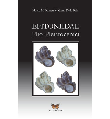 Epitoniidae plio-pleistocenici