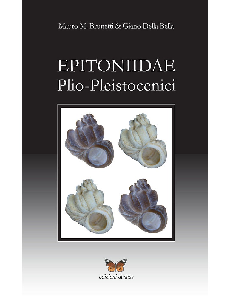 Epitoniidae plio-pleistocenici