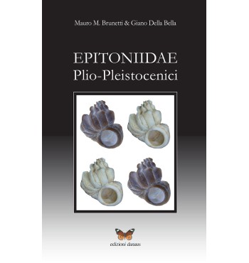 Epitoniidae plio-pleistocenici