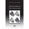 Epitoniidae plio-pleistocenici