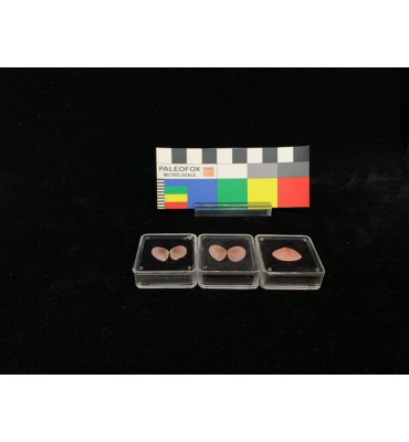 TQ007 - Transparent box...