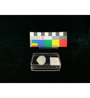 TR004 - Transparent box mm...