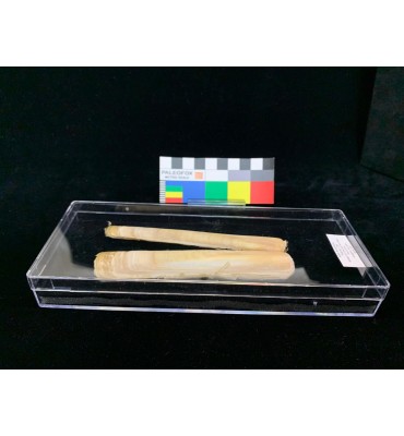 TR033 - Transparent box...