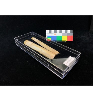 TR033 - Transparent box...