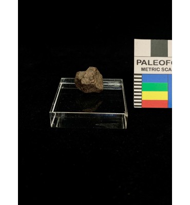 Meteorite litica - Condrite...