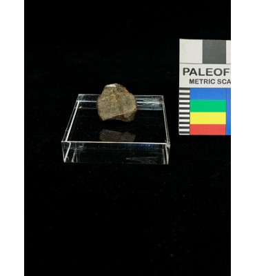 Lithic meteorite - NWA ordinary chondrite