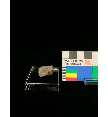 Meteorite litica - Condrite...