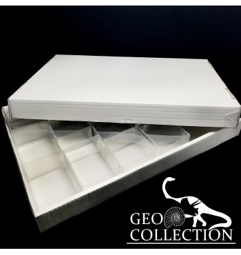 Box 20 scatole pvc trasparenti  12 x mm 86x41x66 , 8 x mm 65x4x65