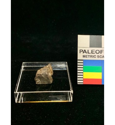 Meteorite litica - Condrite...