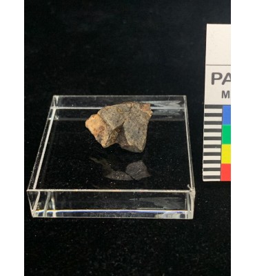 Lithic meteorite - NWA ordinary chondrite