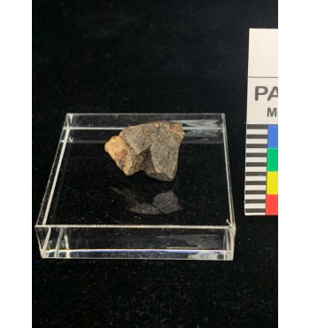 Lithic meteorite - NWA ordinary chondrite