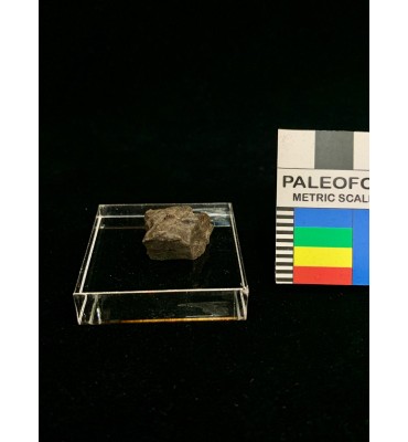 Meteorite litica - Condrite...