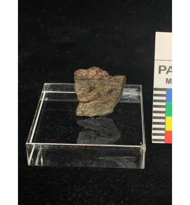 Meteorite litica - Condrite ordinaria NWA 6,5 gr