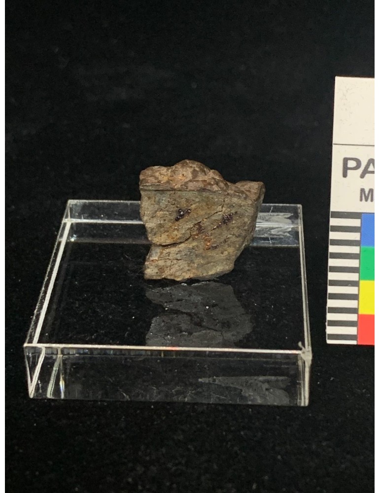 Lithic meteorite - NWA ordinary chondrite