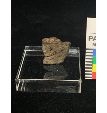 Meteorite litica - Condrite ordinaria NWA 6,5 gr