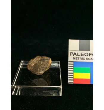 Meteorite litica - Condrite ordinaria NWA 7,6 gr