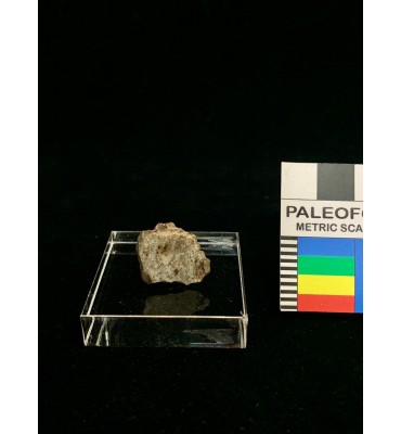 Meteorite litica - Condrite...