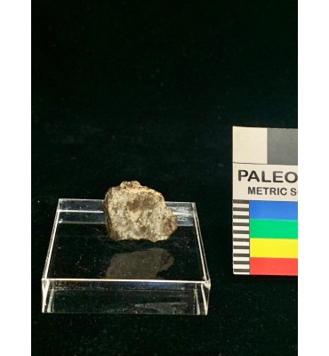 Lithic meteorite - NWA ordinary chondrite