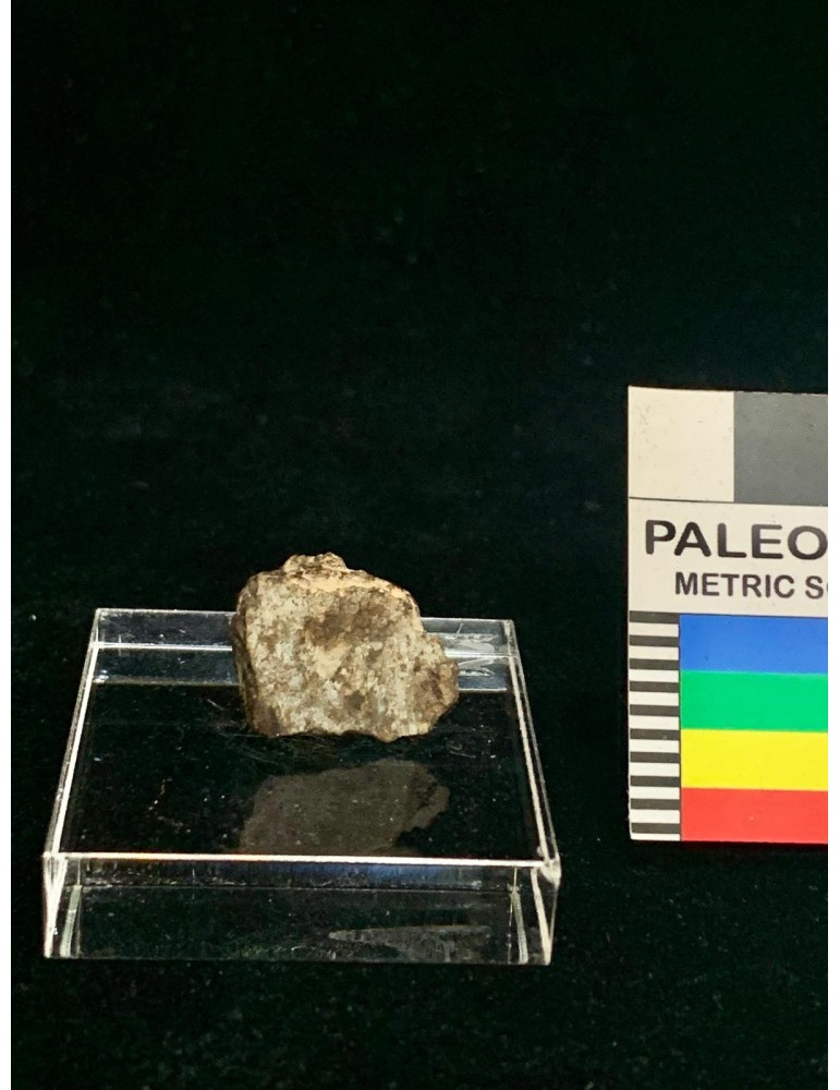Lithic meteorite - NWA ordinary chondrite